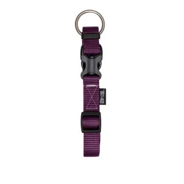 Zeus Adjustable Nylon Dog Collar - Royal Purple - Large - 2 cm x 36 cm-55 cm (3-4in x 14in-22in)